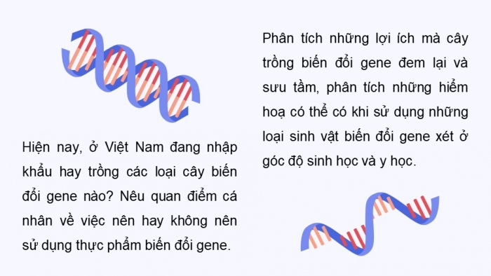 Giáo án điện tử chuyên đề Sinh học 10 kết nối Bài 4: Dự án Tìm hiểu về một số thành tựu công nghệ tế bào