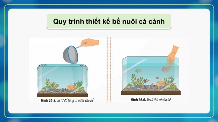 Giáo án điện tử Sinh học 12 chân trời Bài 26: Thực hành Thiết kế hệ sinh thái