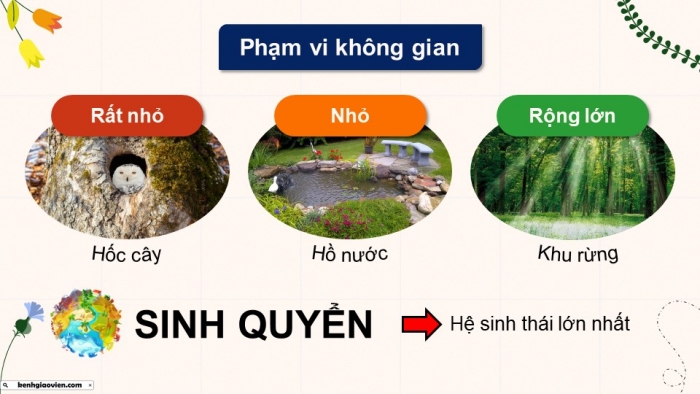 Giáo án điện tử Sinh học 12 cánh diều Bài 23: Hệ sinh thái