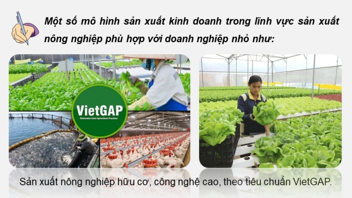 Giáo án điện tử chuyên đề Kinh tế pháp luật 10 kết nối Bài 4: Những vấn đề chung về doanh nghiệp nhỏ (P2)