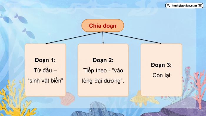 Giáo án điện tử Tiếng Việt 5 chân trời Bài 1: Vì đại dương trong xanh