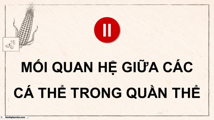 Giáo án điện tử Sinh học 12 chân trời Bài 21: Quần thể sinh vật