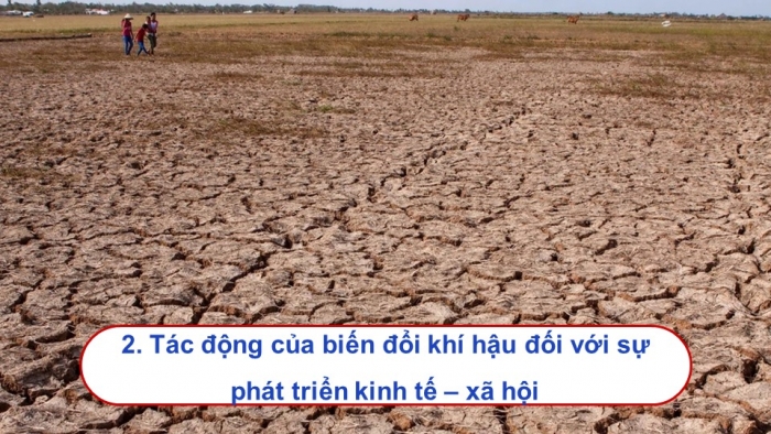 Giáo án điện tử Lịch sử 9 cánh diều Chủ đề chung 2: Văn minh châu thổ sông Hồng và sông Cửu Long (P2)