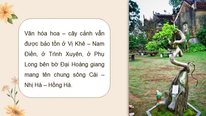 Giáo án PPT dạy thêm Ngữ văn 9 Kết nối bài 9: Văn hóa hoa – cây cảnh (Trần Quốc Vượng)