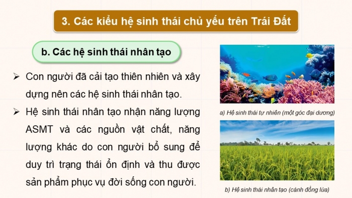 Giáo án điện tử Sinh học 12 chân trời Bài 25: Hệ sinh thái