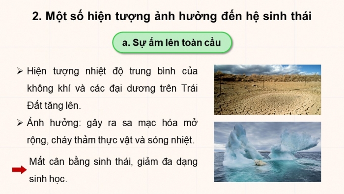 Giáo án điện tử Sinh học 12 chân trời Bài 25: Hệ sinh thái (P2)