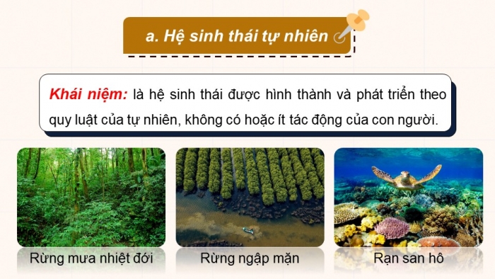 Giáo án điện tử Sinh học 12 cánh diều Bài 23: Hệ sinh thái