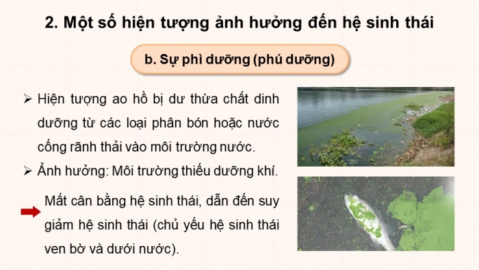 Giáo án điện tử Sinh học 12 chân trời Bài 25: Hệ sinh thái (P2)