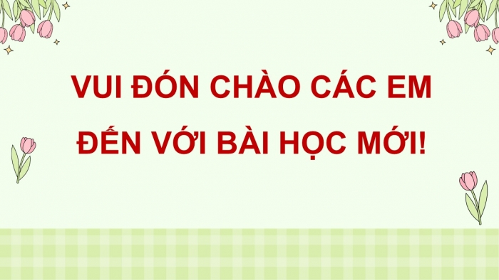 Giáo án điện tử Tiếng Việt 5 chân trời Bài 4: Luyện tập sử dụng từ ngữ