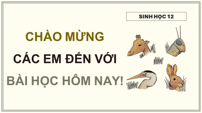 Giáo án điện tử Sinh học 12 chân trời Bài 22: Thực hành Xác định một số đặc trưng cơ bản của quần thể sinh vật