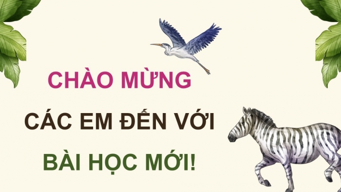 Giáo án điện tử Sinh học 12 chân trời Bài 23: Quần xã sinh vật (P2)