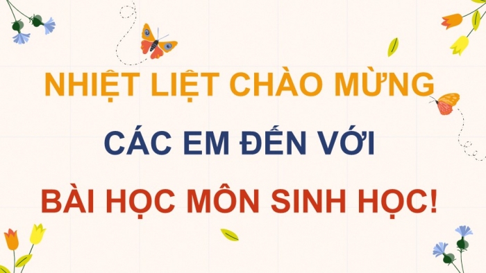 Giáo án điện tử Sinh học 12 chân trời Bài 25: Hệ sinh thái (P2)