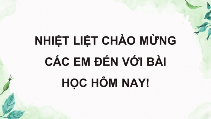 Giáo án điện tử Sinh học 12 chân trời Bài 27: Sinh thái học phục hồi và bảo tồn