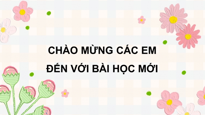 Giáo án điện tử Toán 5 cánh diều Bài 77: Em ôn lại những gì đã học