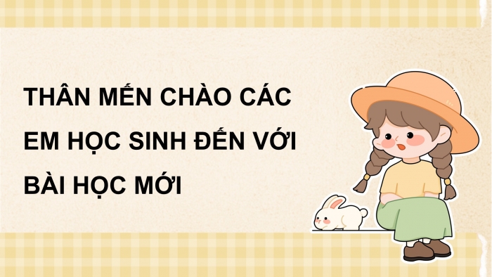 Giáo án điện tử Khoa học 5 cánh diều Bài Ôn tập chủ đề Con người và sức khoẻ