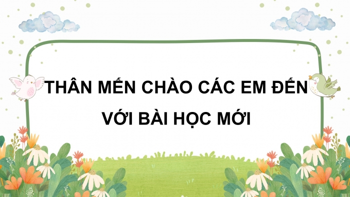 Giáo án điện tử Khoa học 5 cánh diều Bài 19: Chức năng của môi trường đối với sinh vật