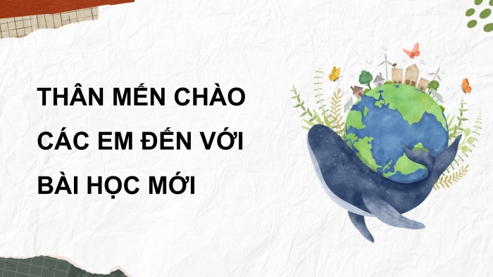 Giáo án điện tử Khoa học 5 cánh diều Bài Ôn tập chủ đề Sinh vật và môi trường