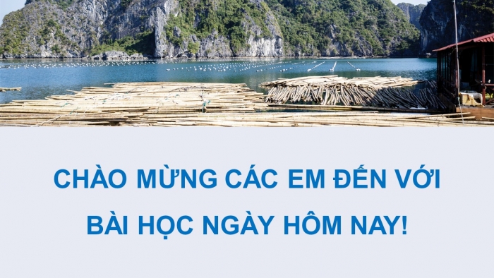 Giáo án điện tử Công nghệ 12 Lâm nghiệp - Thủy sản Kết nối Bài ôn tập chương VIII