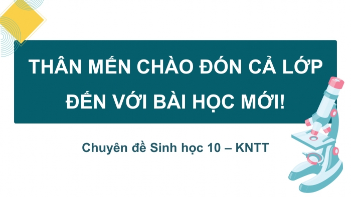 Giáo án điện tử chuyên đề Sinh học 10 kết nối Bài 2: Tế bào gốc và một số thành tựu