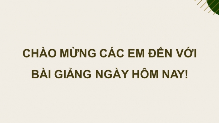 Giáo án điện tử chuyên đề Kinh tế pháp luật 10 chân trời Bài 5: Tổ chức hoạt động của doanh nghiệp nhỏ