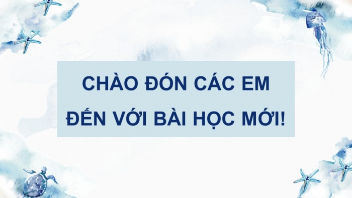 Giáo án điện tử Công nghệ 12 Lâm nghiệp Thủy sản Cánh diều Bài Ôn tập chủ đề 10