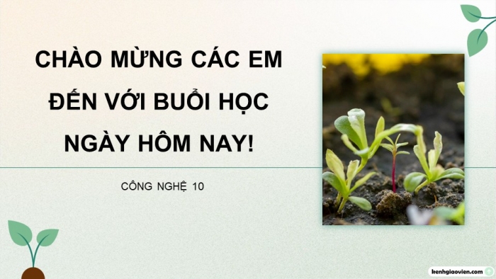 Giáo án điện tử chuyên đề Công nghệ trồng trọt 10 kết nối Bài 1: Bài mở đầu