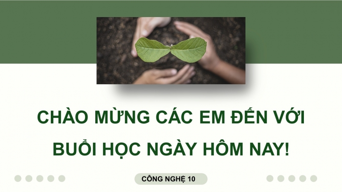 Giáo án điện tử chuyên đề Công nghệ trồng trọt 10 kết nối Bài 11: Giới thiệu về VietGAP trồng trọt