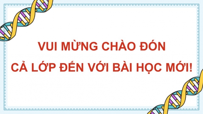 Giáo án điện tử chuyên đề Sinh học 10 kết nối Bài 7: Ứng dụng của enzyme