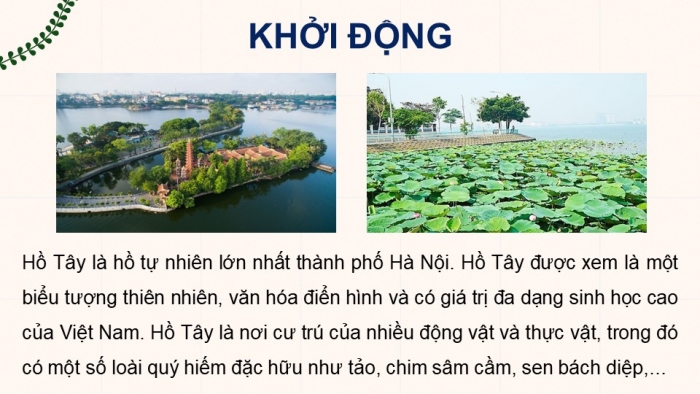 Giáo án điện tử Sinh học 12 chân trời Bài 25: Hệ sinh thái