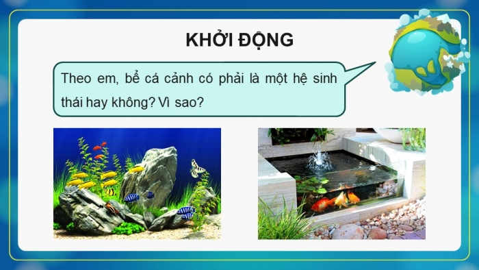 Giáo án điện tử Sinh học 12 chân trời Bài 26: Thực hành Thiết kế hệ sinh thái