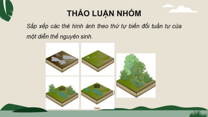 Giáo án điện tử Sinh học 12 chân trời Bài Ôn tập Chương 7