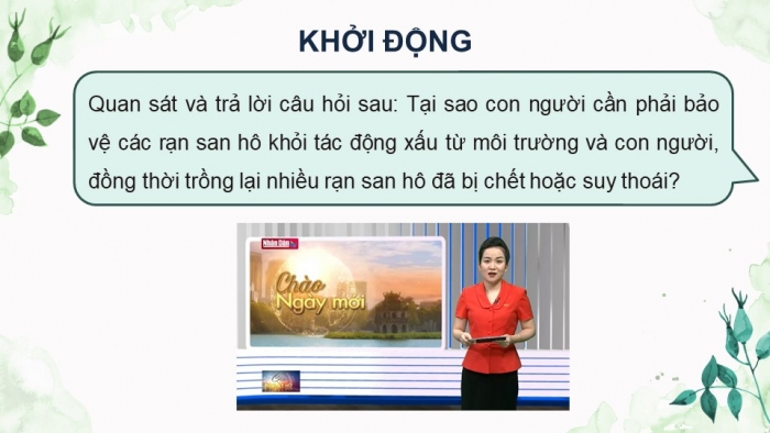 Giáo án điện tử Sinh học 12 chân trời Bài 27: Sinh thái học phục hồi và bảo tồn