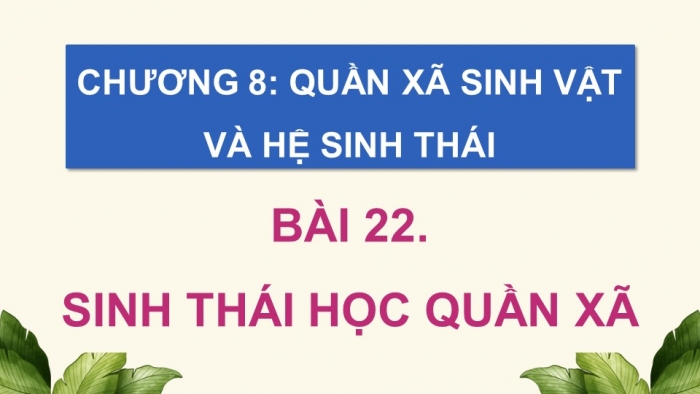 Giáo án điện tử Sinh học 12 cánh diều Bài 22: Sinh thái học quần xã (P2)