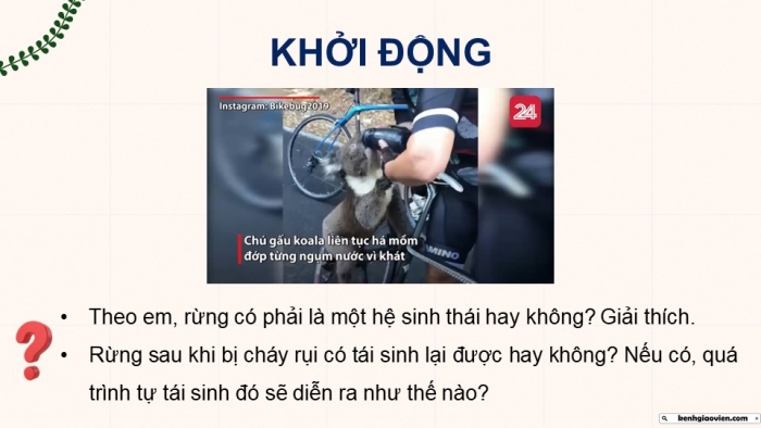 Giáo án điện tử Sinh học 12 cánh diều Bài 23: Hệ sinh thái