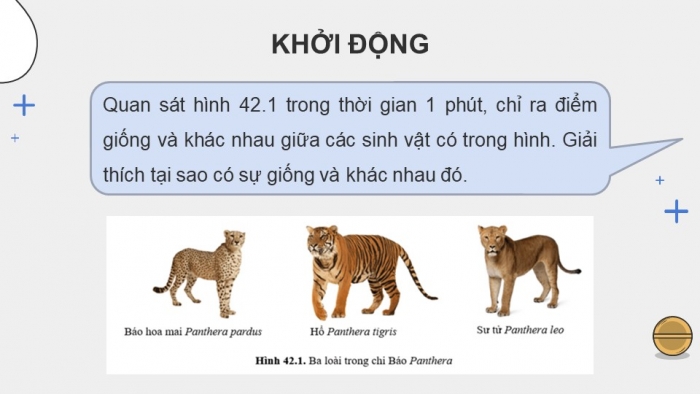 Giáo án điện tử KHTN 9 cánh diều - Phân môn Sinh học Bài 42: Giới thiệu về tiến hóa, chọn lọc nhân tạo và chọn lọc tự nhiên