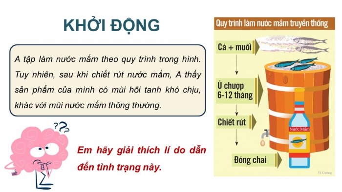 Giáo án điện tử Công nghệ 12 Lâm nghiệp - Thủy sản Kết nối Bài ôn tập chương VIII