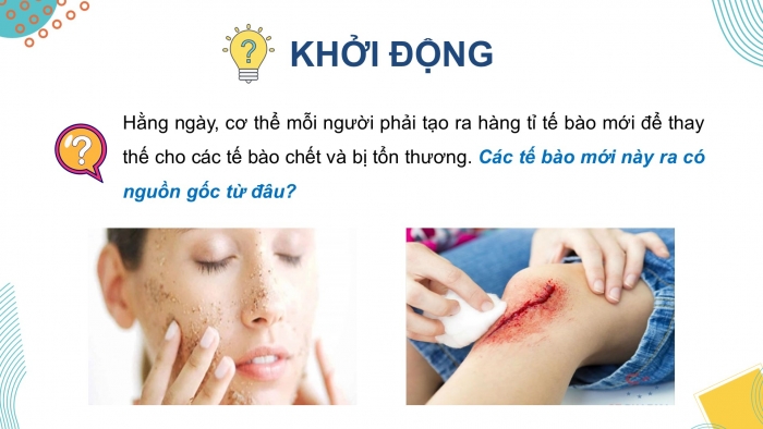 Giáo án điện tử chuyên đề Sinh học 10 kết nối Bài 2: Tế bào gốc và một số thành tựu