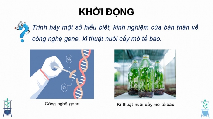 Giáo án điện tử chuyên đề Công nghệ trồng trọt 10 kết nối Bài 2: Một số ứng dụng công nghệ sinh học trong chọn tạo giống cây trồng