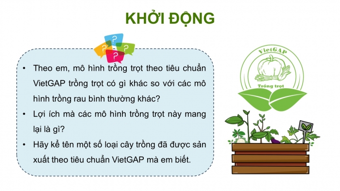 Giáo án điện tử chuyên đề Công nghệ trồng trọt 10 kết nối Bài 13: Một số mô hình trồng trọt theo tiêu chuẩn VietGAP