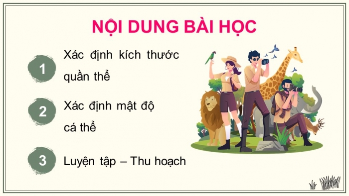 Giáo án điện tử Sinh học 12 chân trời Bài 22: Thực hành Xác định một số đặc trưng cơ bản của quần thể sinh vật