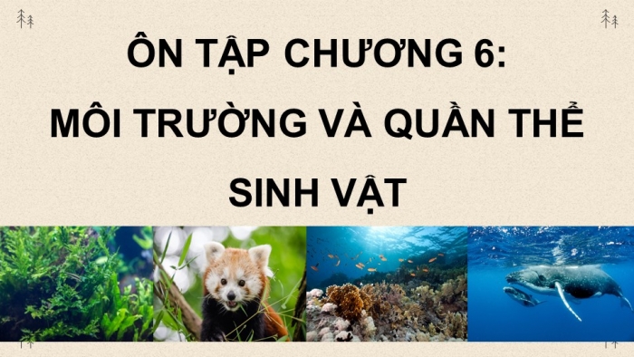 Giáo án điện tử Sinh học 12 chân trời Bài Ôn tập Chương 6