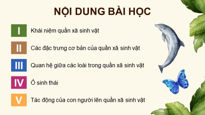 Giáo án điện tử Sinh học 12 chân trời Bài 23: Quần xã sinh vật (P2)