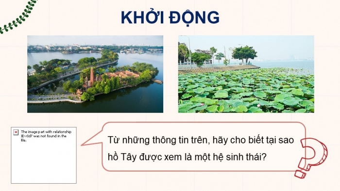 Giáo án điện tử Sinh học 12 chân trời Bài 25: Hệ sinh thái