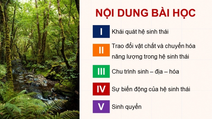 Giáo án điện tử Sinh học 12 chân trời Bài 25: Hệ sinh thái (P2)