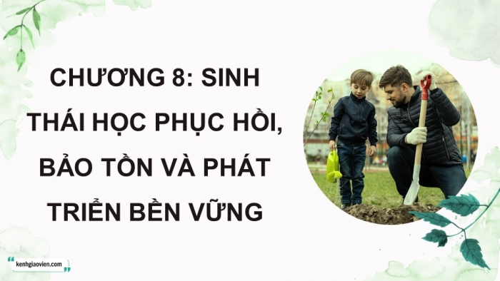 Giáo án điện tử Sinh học 12 chân trời Bài 27: Sinh thái học phục hồi và bảo tồn