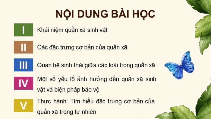 Giáo án điện tử Sinh học 12 cánh diều Bài 22: Sinh thái học quần xã (P2)