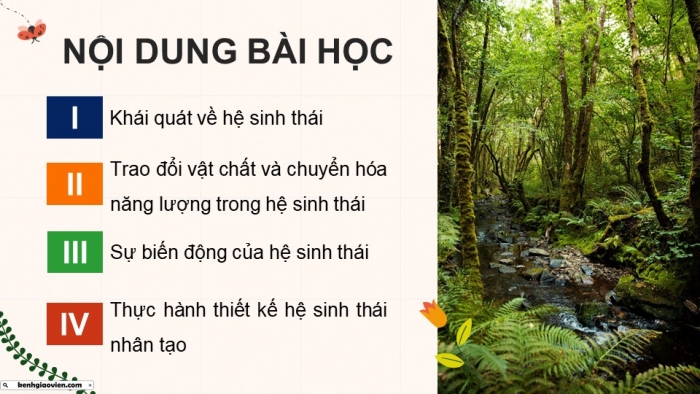 Giáo án điện tử Sinh học 12 cánh diều Bài 23: Hệ sinh thái (P2)