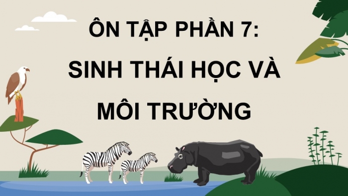 Giáo án điện tử Sinh học 12 cánh diều Bài Ôn tập Phần 7