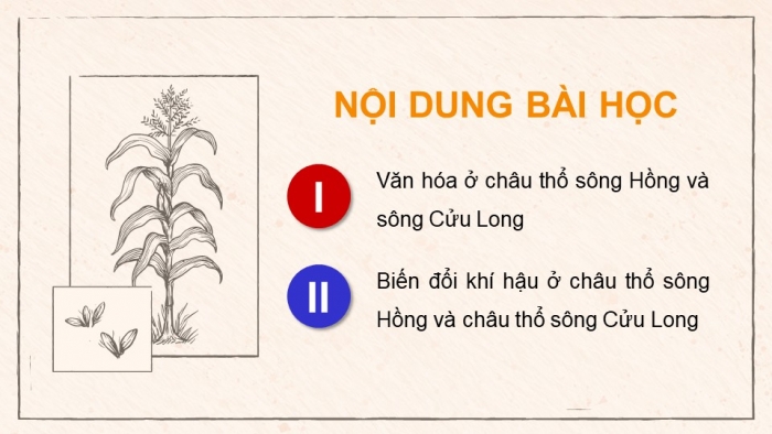 Giáo án điện tử Lịch sử 9 kết nối Chủ đề chung 2 Văn minh châu thổ sông Hồng và sông Cửu Long (2) (P2)