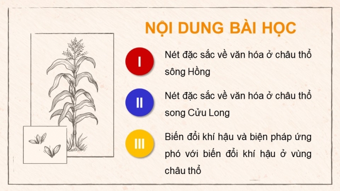 Giáo án điện tử Lịch sử 9 cánh diều Chủ đề chung 2: Văn minh châu thổ sông Hồng và sông Cửu Long (P2)